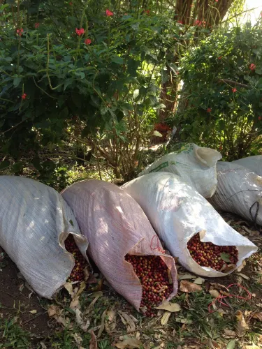 Finca Agroecoturistica