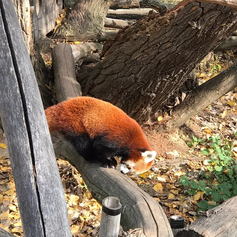 3_Bratislava Zoo