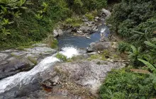 Pine Track Adventures