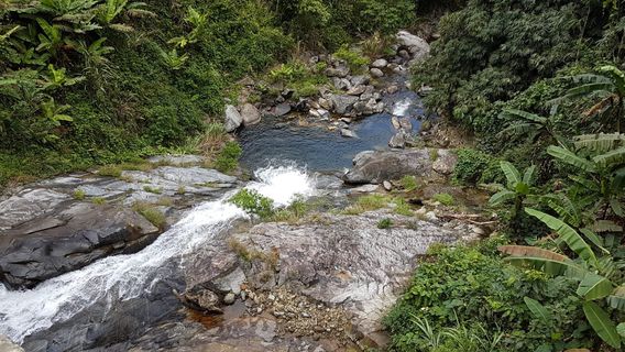 Dalat