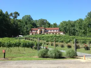 Running Hare Vineyard