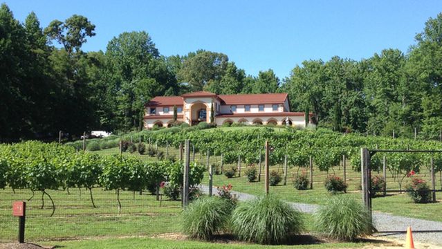 Running Hare Vineyard
