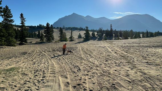 Carcross Desert