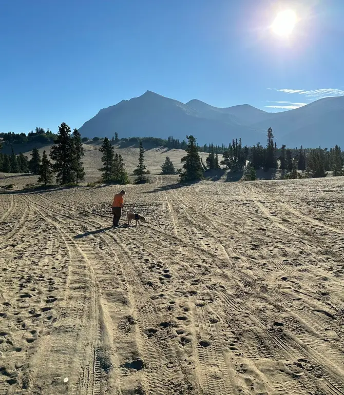 Carcross