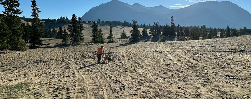 Carcross Desert