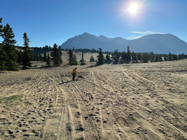 Carcross Desert