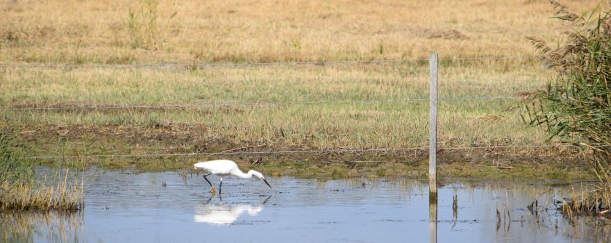 Terres d'Oiseaux