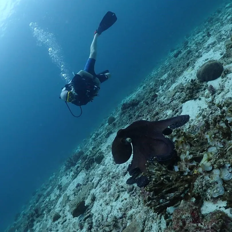 1_Aqua One Watersports Phuket Co. Ltd.