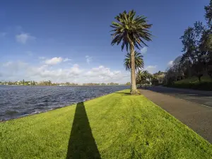 Hamilton Lake Domain