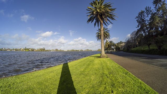 Hamilton Lake Domain