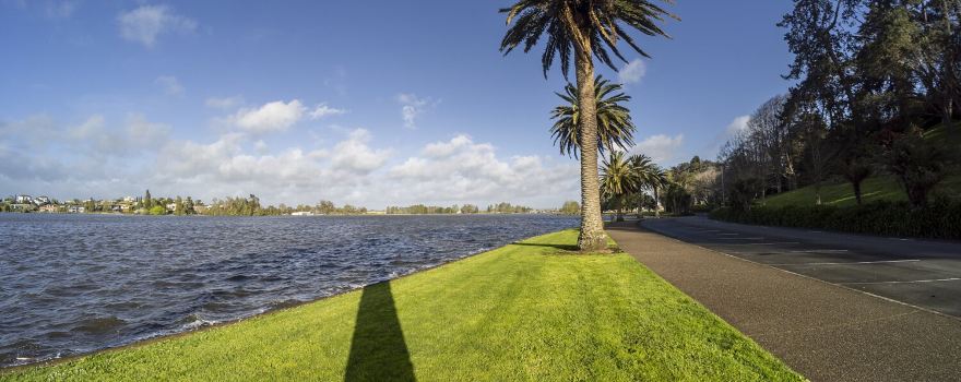 Hamilton Lake Domain