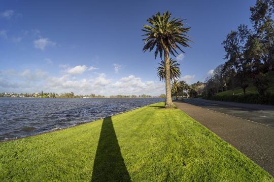 Hamilton Lake Domain