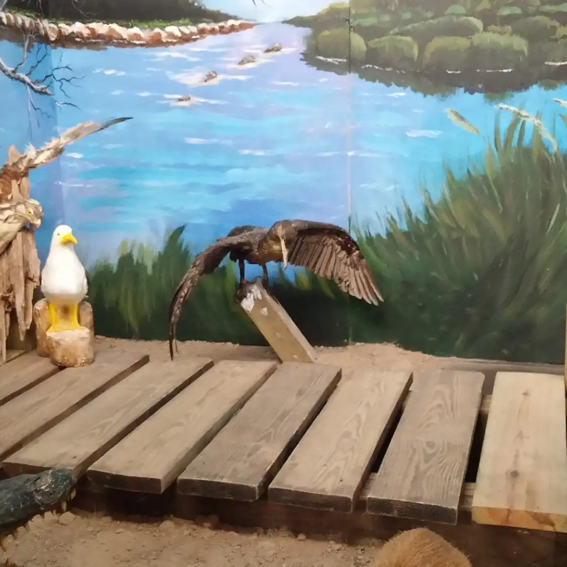 鄰近Baytown Wetlands Center的酒店