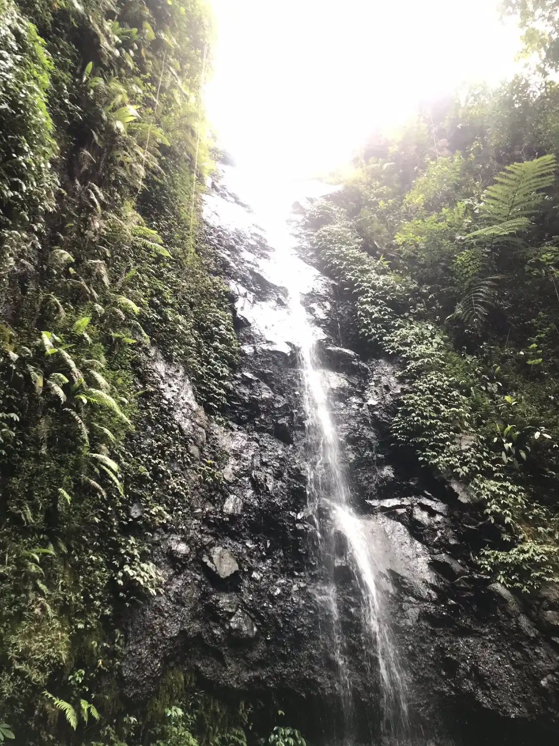 Hotels near Kakek Bodo Waterfall