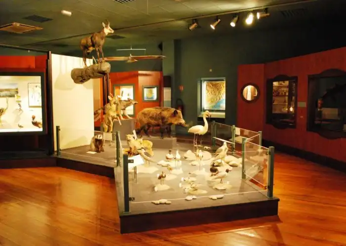 Hotel dekat Museum dHistoire Naturelle