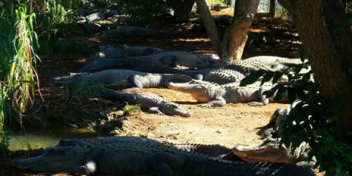 Everglades Outpost Wildlife Refuge