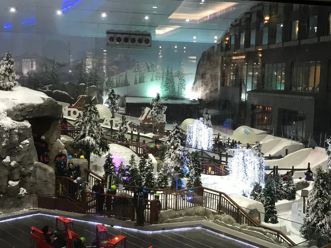 3_Snow Penguins at Ski Dubai