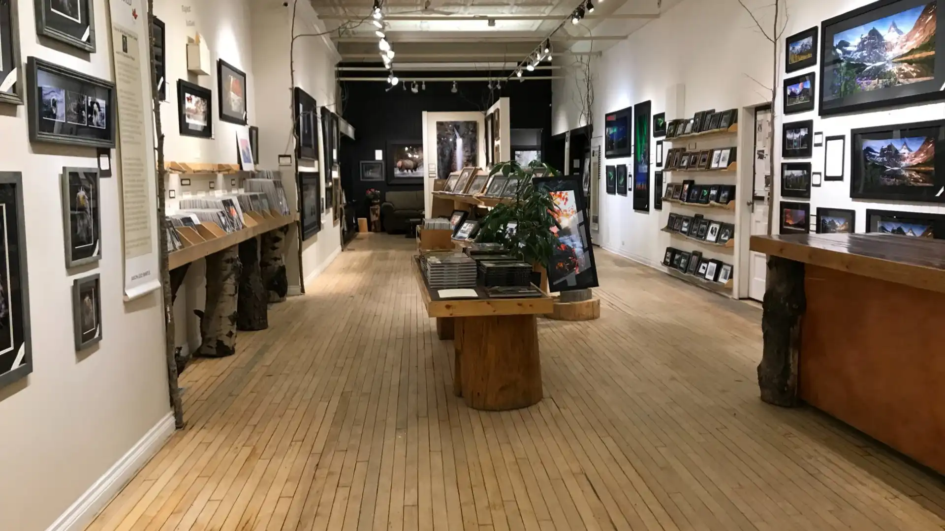 Hotels near All In The Wild Gallery