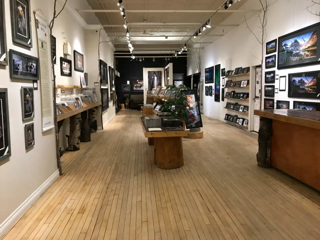 Hotels near All In The Wild Gallery