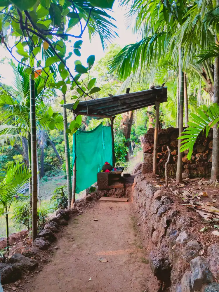 Hotels in Dapoli