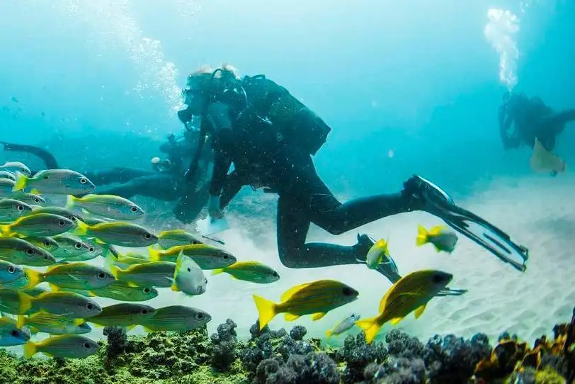 1_Devocean Diving