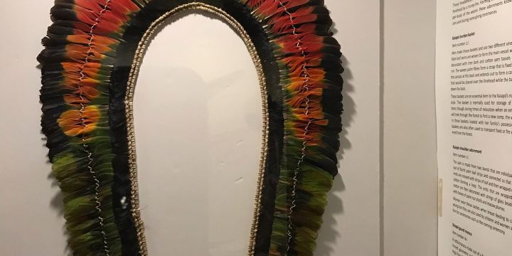 Indigenous Culture Museum Amazonicas