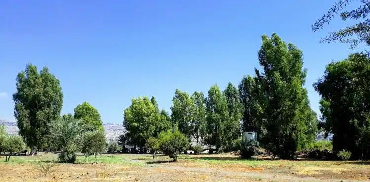 Hotels in Ma'ale Gamla