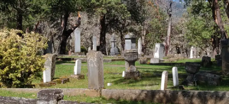 杰克遜維爾酒店