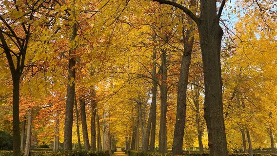 Aranjuez