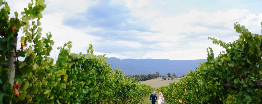 Bulong Estate Winery