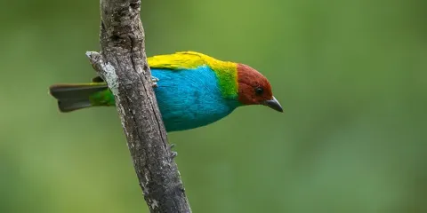 La Plata Parque Ecoturistico