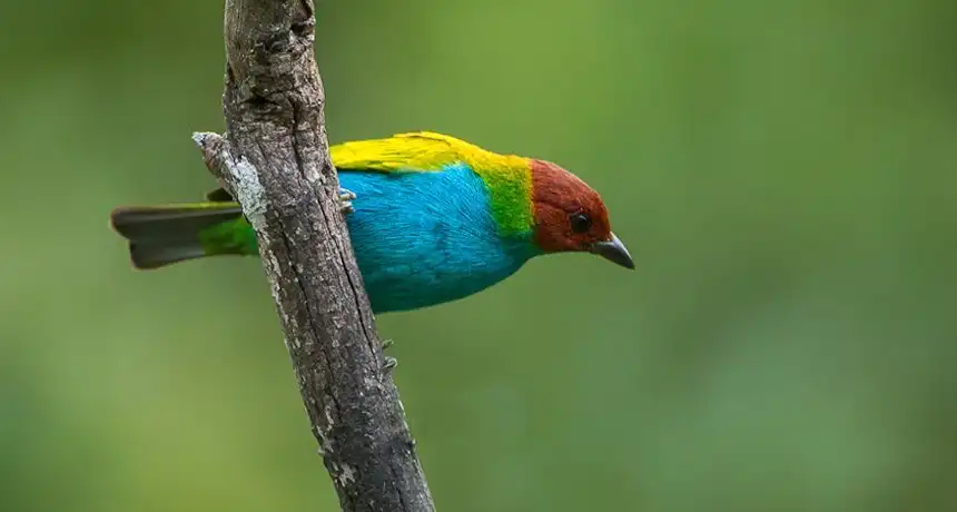Hotels near La Plata Parque Ecoturistico