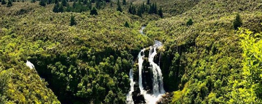 Waipunga Falls