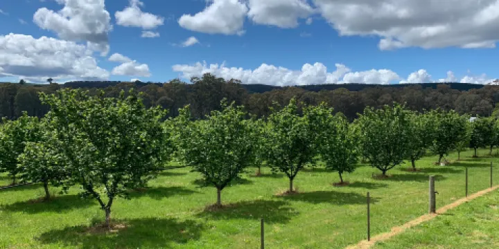 Hillsborough Quality Nuts