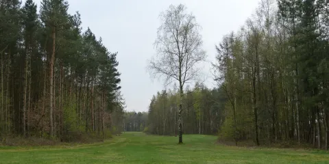 Archaeological Park De Rieten