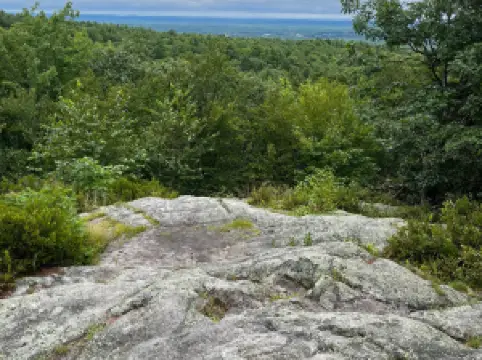 Bauneg Beg Mountain Conservation Area