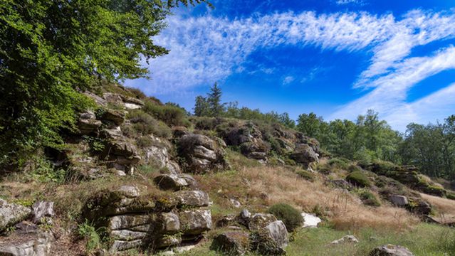 Arboretum De La Sedelle