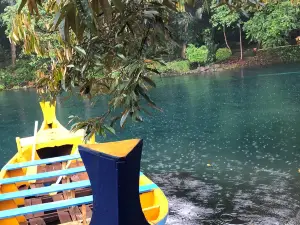 Situ Cipanten