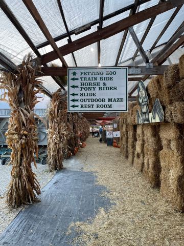Daniel's Farm & Greenhouses