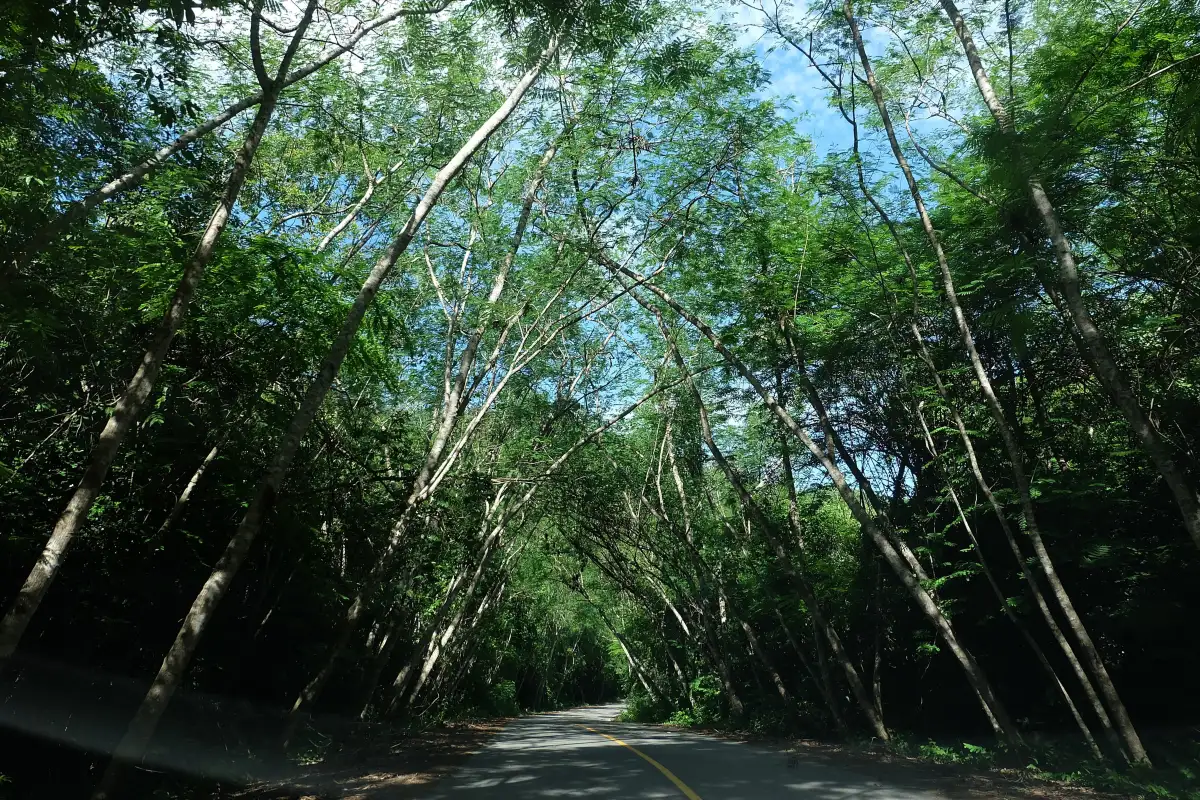 บ้านกร่างแคมป์ จังหวัดเพชรบุรี