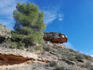 Reserva Natural de Sebes
