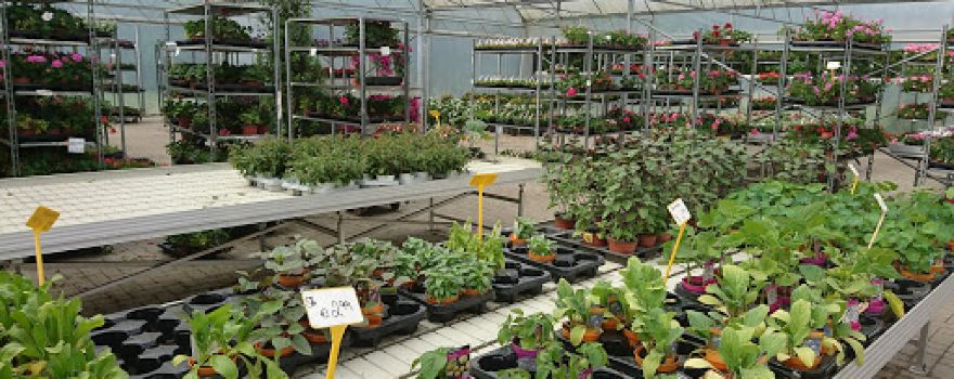 Blumenhof Kirchhorst