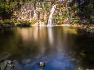Fervenza De Casariños