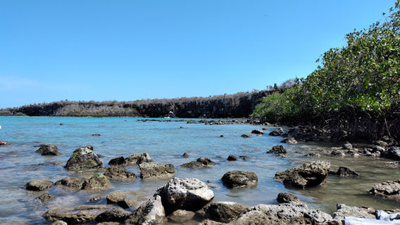 Miraflores Synthetic Stadium
