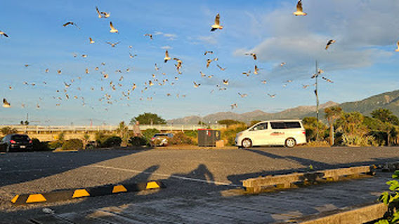 Freedom Camping (6 spaces - self-contained)