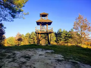 Observation Tower