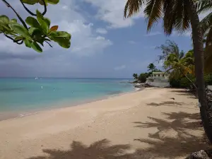 Mullins Beach