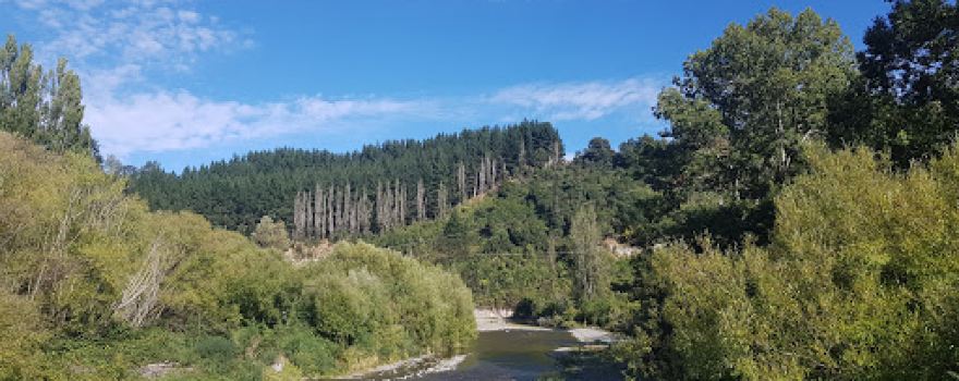 Londons Ford Reserve