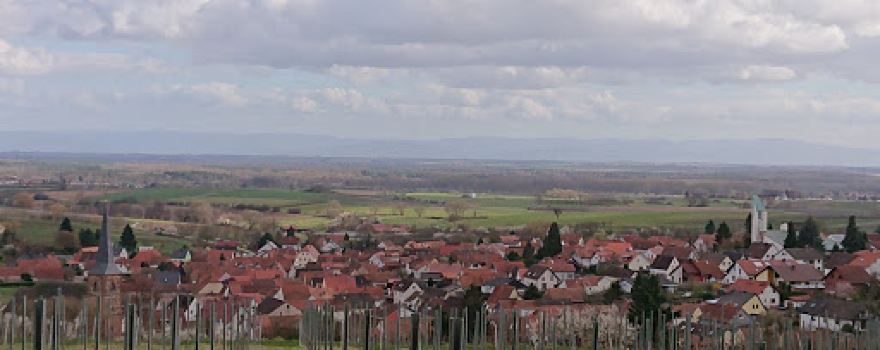 SV Schweigen-Rechtenbach 1929 e.V.