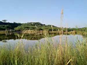Mountain of Pabbi